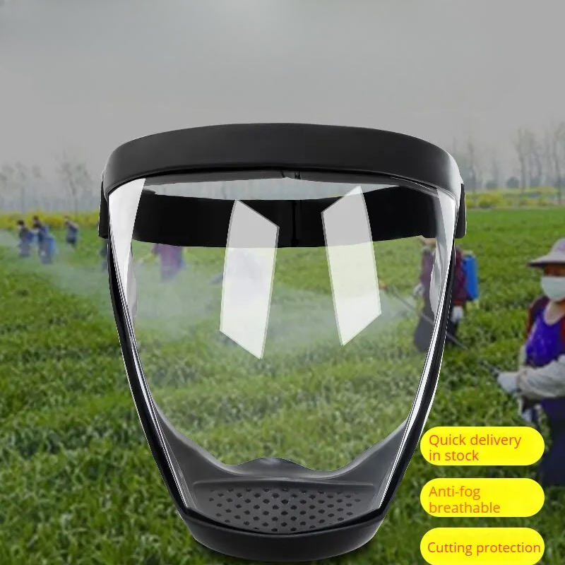 Transparent Full Faceshield Re - Anti Pollution Mask review and price