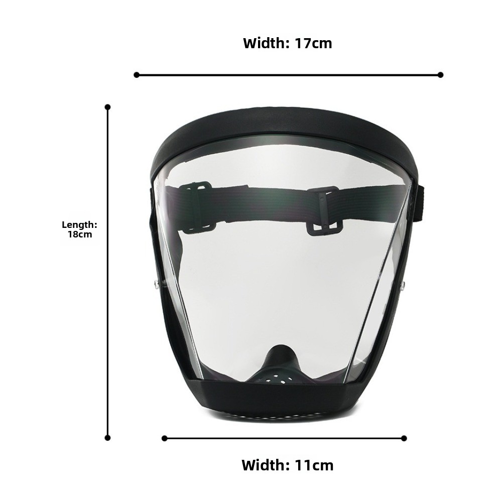 Full Face Protective Glasses H - Anti Pollution Mask review and price